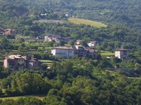 Vigneti al posto di pascoli e boschi?