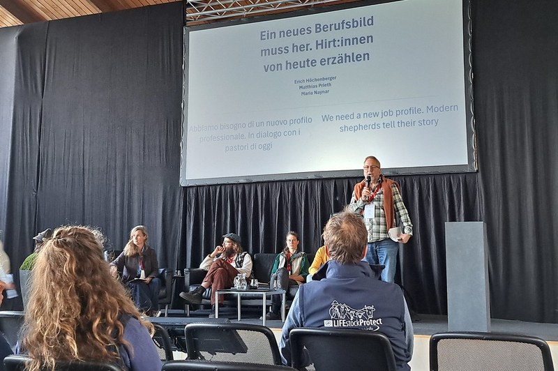 Giornate della protezione del gregge di Salerno, ottobre 2024.