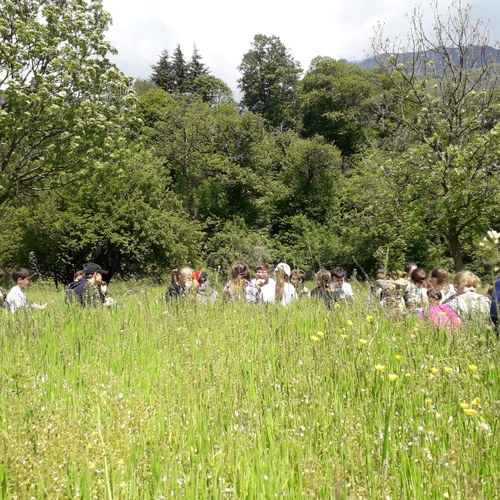 GAL Escartons e Valli Valdesi_scuole (c) Francesco Pastorelli