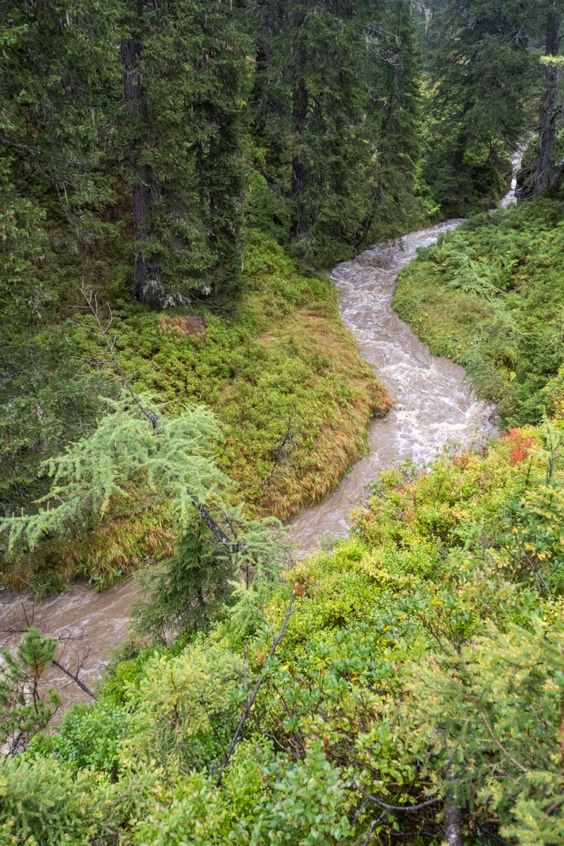 10 JeloviZA (c) Samo Khan