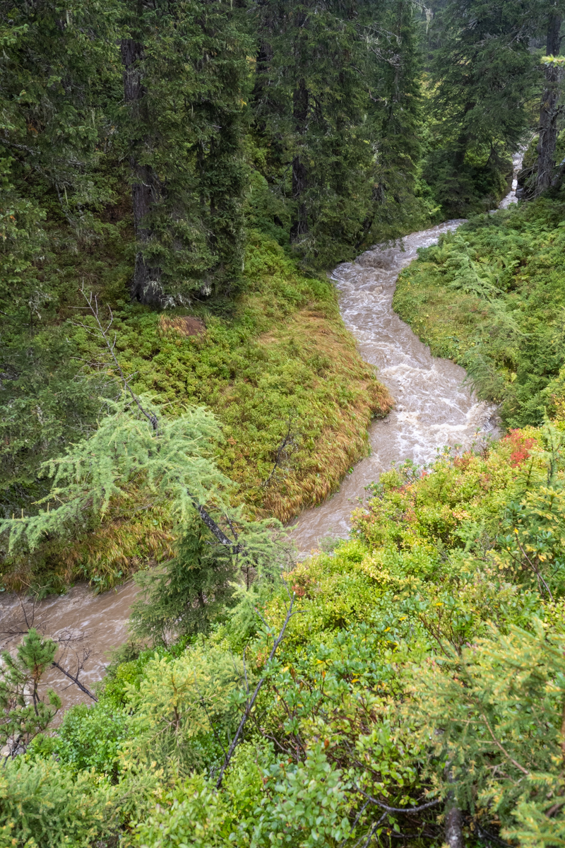 10 JeloviZA (c) Samo Khan