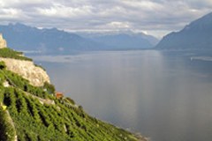 1157_Genfersee.jpg