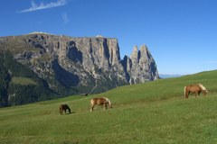 1170_SeiserAlm.jpg