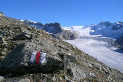 1176_RhoneGletscher.jpg