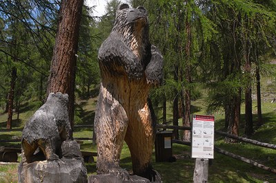 130630BaerenkonzeptValmuestair(c)BarbaraWuelser (18).JPG