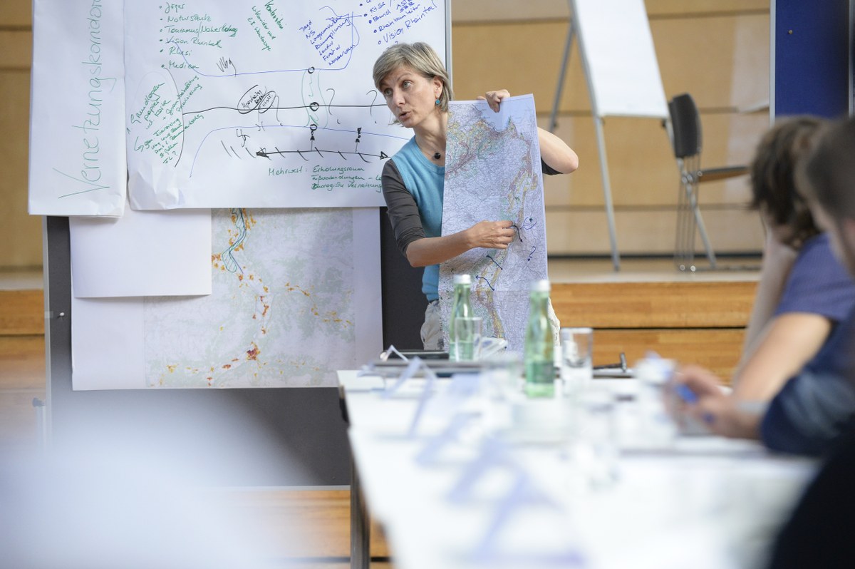 140902 WS greenAlps (c) Martin Walser (8).jpg