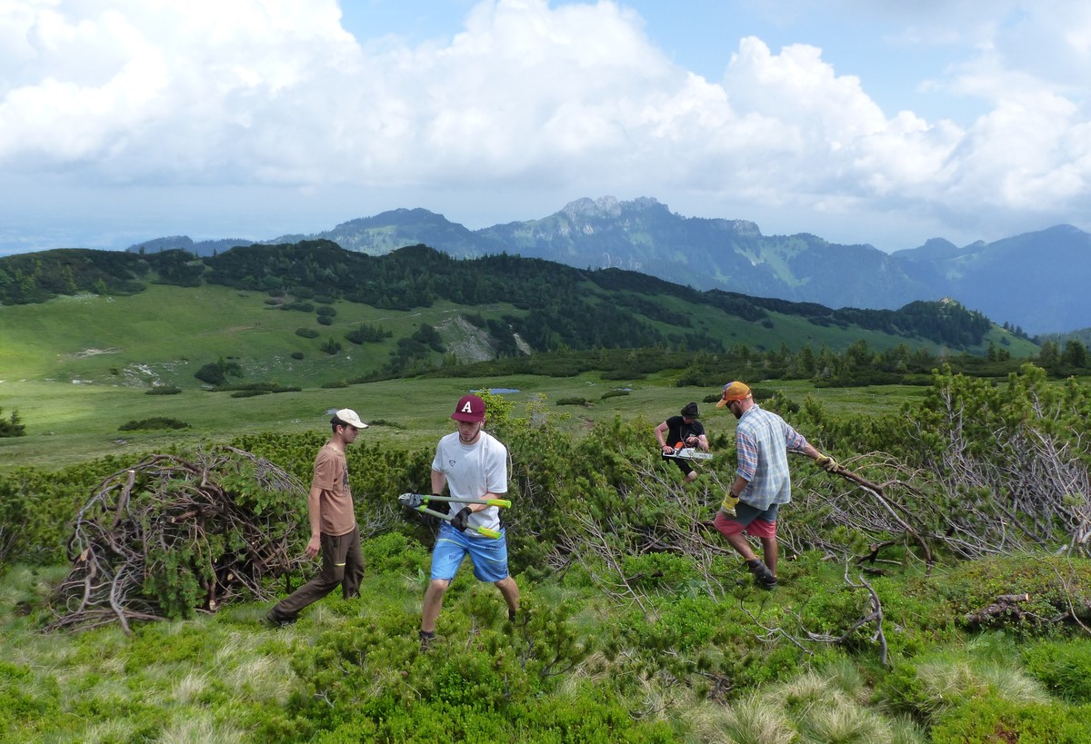 18_19_Rossalm_2_(c)Anne-Marie Heinze.jpg