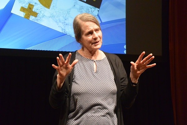 1_Klimawandel_Helga Kromp-Kolb (c) Michael Gams CIPRA International.jpg