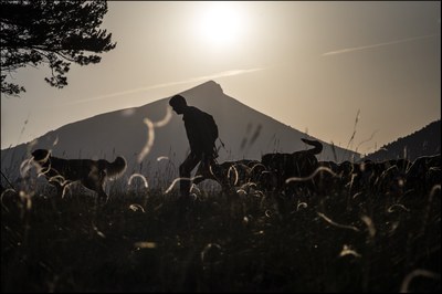 1_Titelbild_FES_CAST_TRANSHUMANCE_031_20170624 (c) Arnaud Brunet.jpg