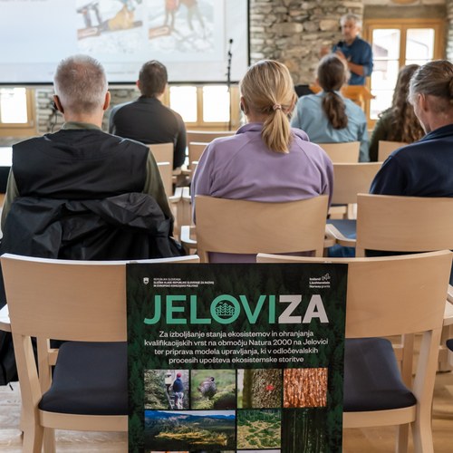 2 JeloviZA (c) Samo Khan