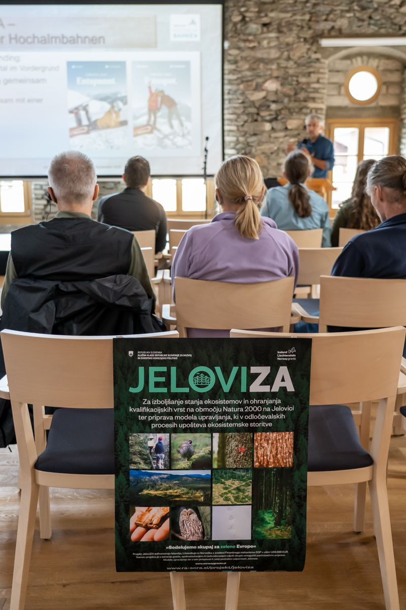 2 JeloviZA (c) Samo Khan