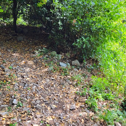 Nameščanje števcev, Osp, junij 2022. Arhiv PZS