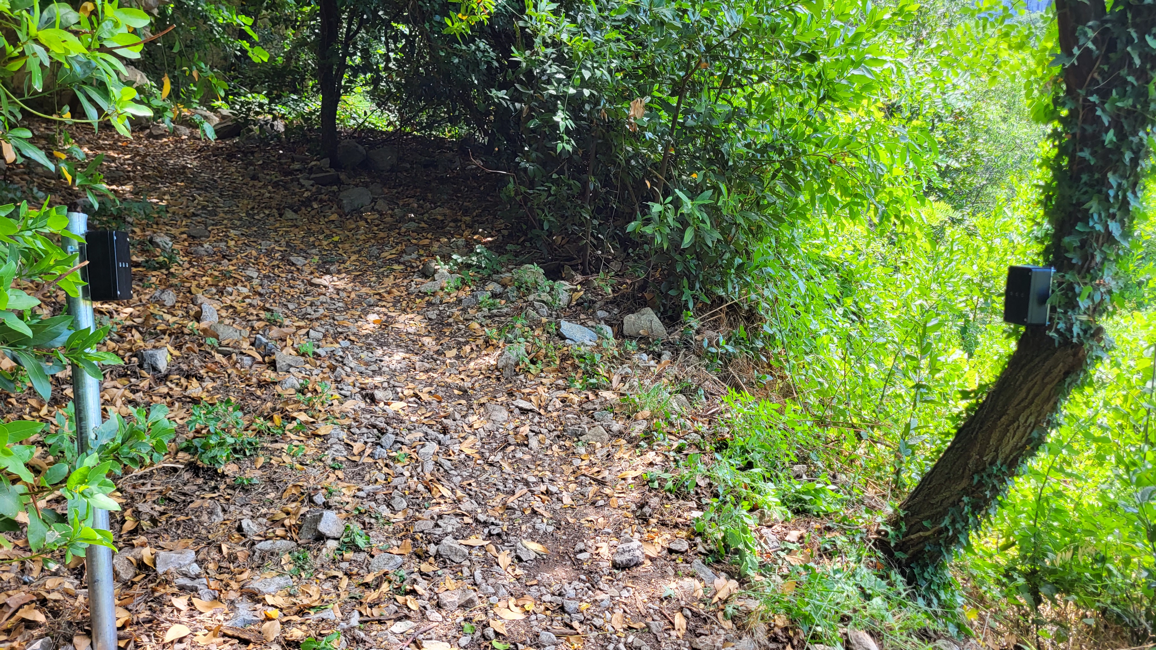 Nameščanje števcev, Osp, junij 2022. Arhiv PZS