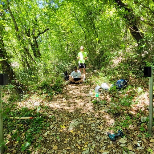 Nameščanje števcev, Osp, junij 2022. Arhiv PZS