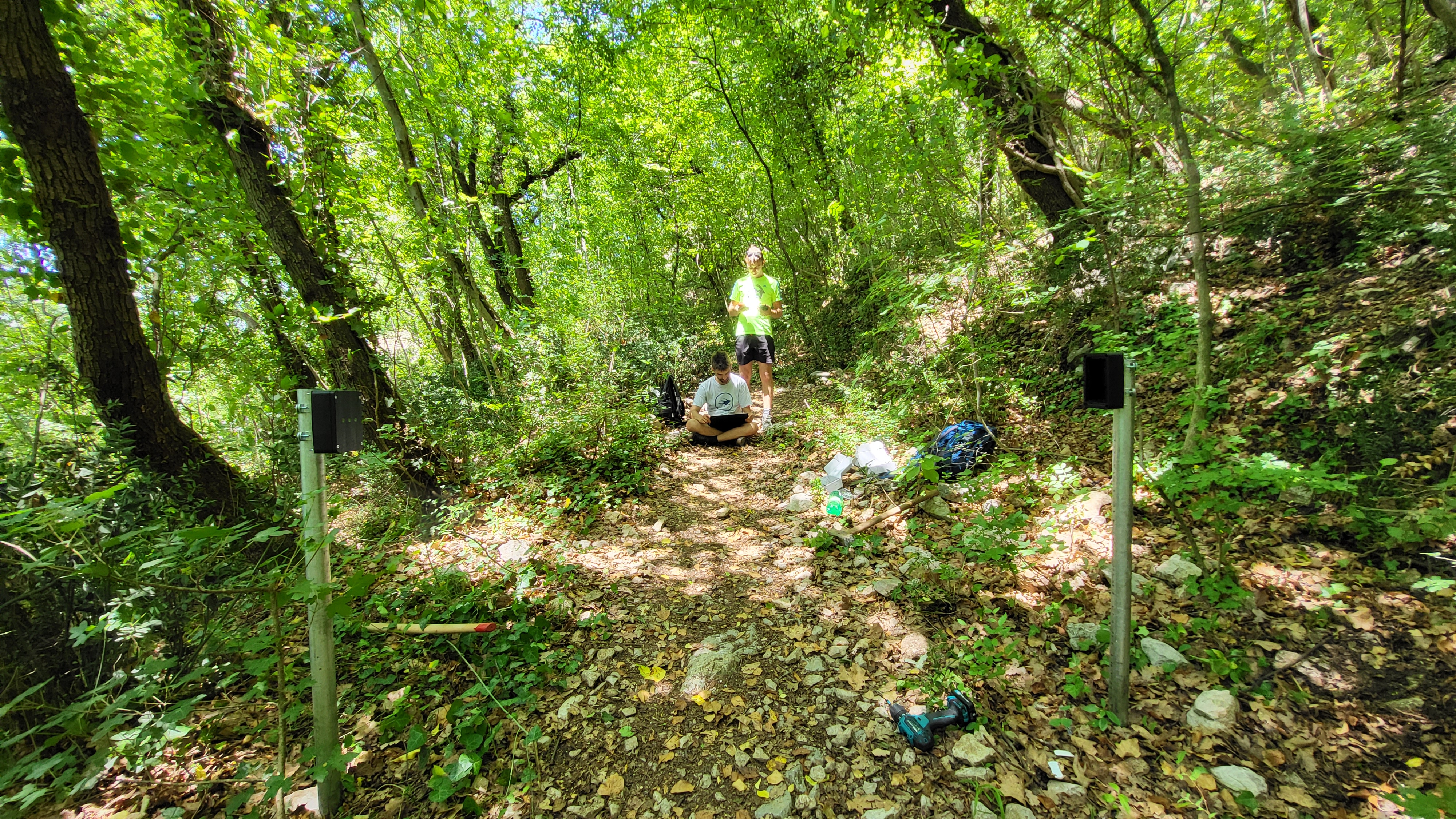 Nameščanje števcev, Osp, junij 2022. Arhiv PZS