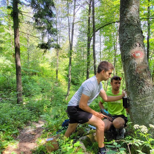 Nameščanje števcev, Kum, junij 2022. Arhiv PZS