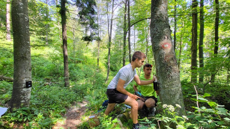 Nameščanje števcev, Kum, junij 2022. Arhiv PZS