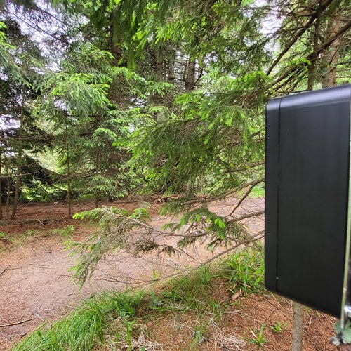 Nameščanje števcev, Lovrenška jezera, junij 2022. Arhiv PZS