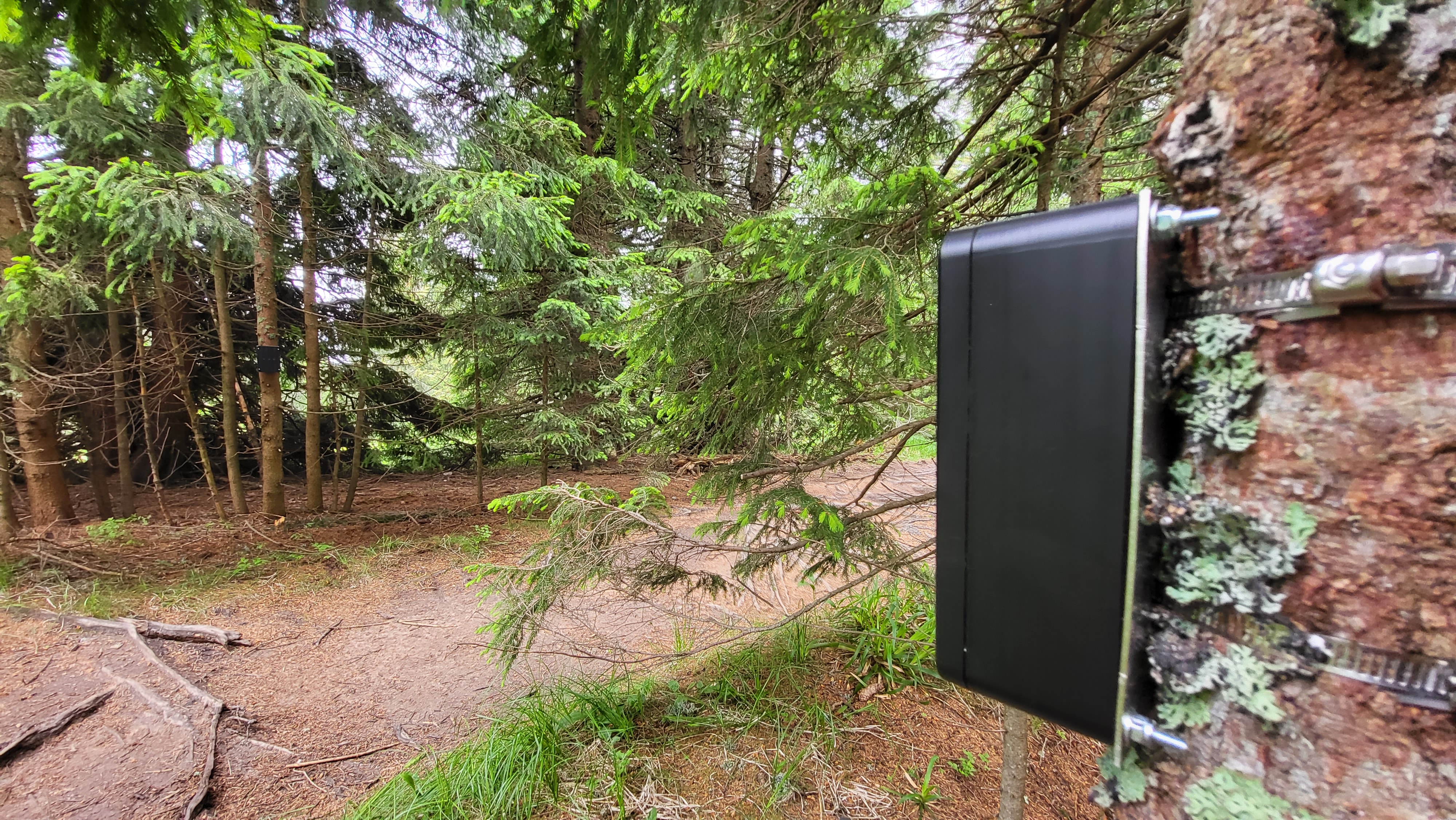 Nameščanje števcev, Lovrenška jezera, junij 2022. Arhiv PZS