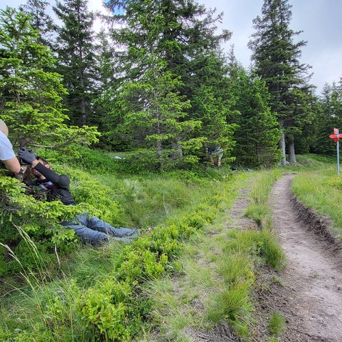 Nameščanje števcev, Lovrenška jezera, junij 2022. Arhiv PZS