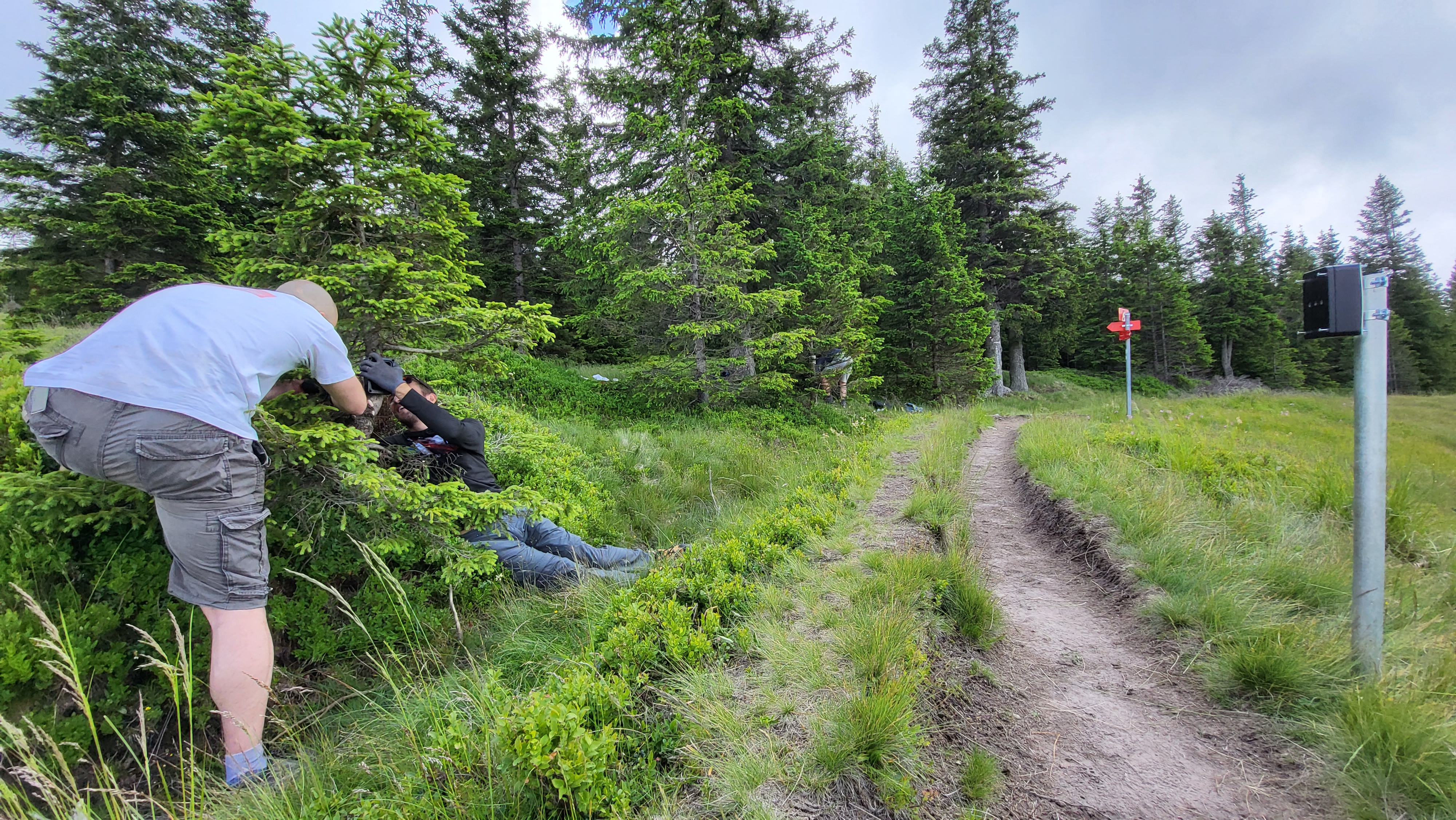 Nameščanje števcev, Lovrenška jezera, junij 2022. Arhiv PZS