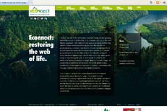2411_ECONNECT-web.jpg