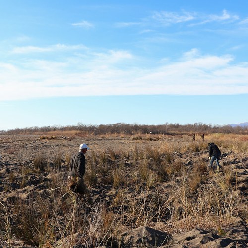 25 GO2 Sustainable Urban Planning Organization Rehabilitation of sand dunes