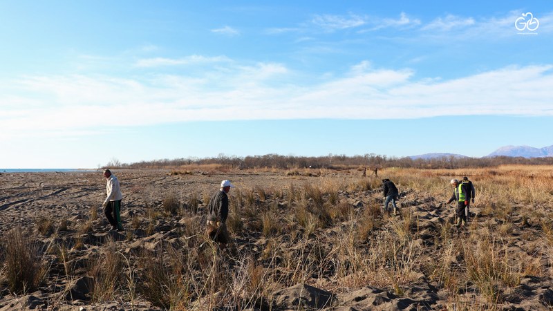 25 GO2 Sustainable Urban Planning Organization Rehabilitation of sand dunes