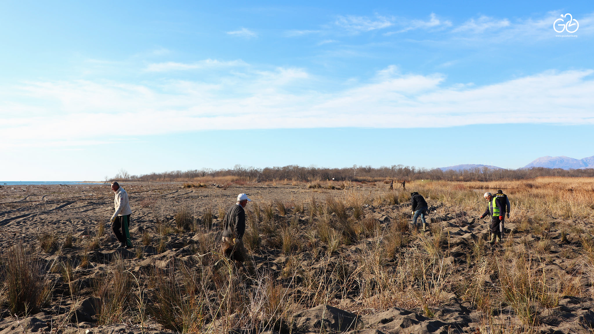 25 GO2 Sustainable Urban Planning Organization Rehabilitation of sand dunes