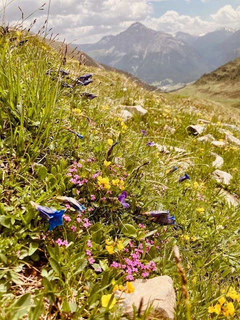 26_de_Almen im Spannungsfeld 1.jpg