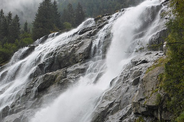 3.3_AlpES_(c) Ulrike Tappeiner_600x400.jpg