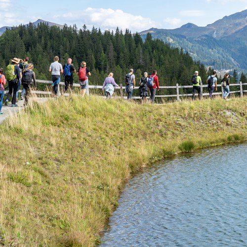 3 JeloviZA (c) Samo Khan