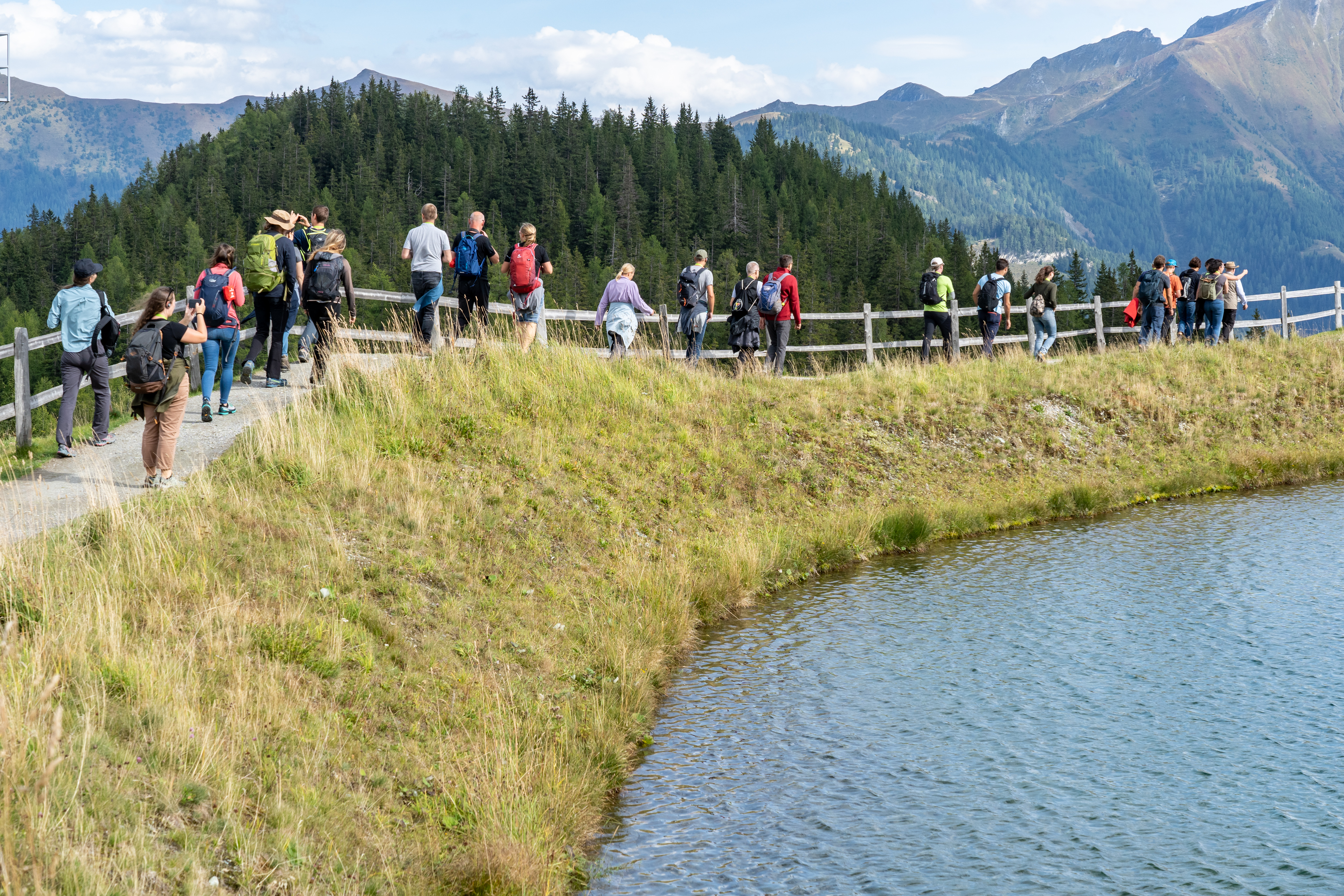 3 JeloviZA (c) Samo Khan