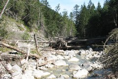 3606_Flussbett.jpg