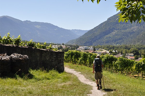 4.3_AlpineFlowerFLCH_(c)CIPRA International_600x400.jpg