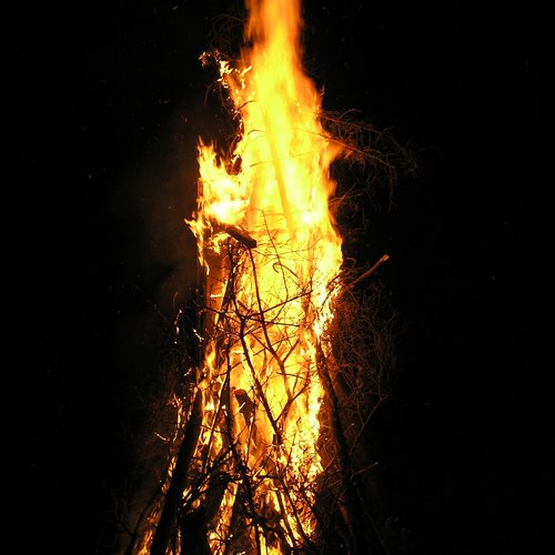 FidA2, Fotograf_Stefan Grass.jpg