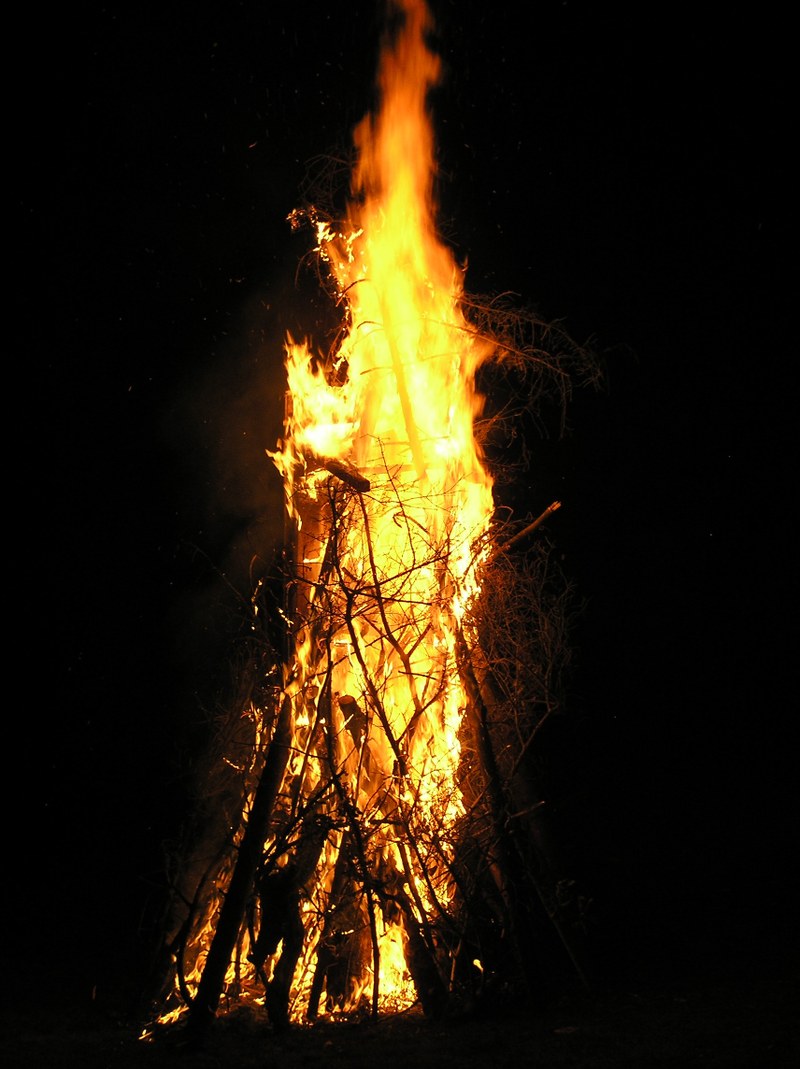 FidA2, Fotograf_Stefan Grass.jpg