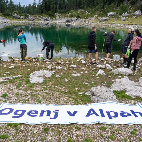 Delovno akcijo odstranjevanja alg smo izvedli na pobudo JZTNP v okviru projekta VrH Julijcev, foto: Samo Kham