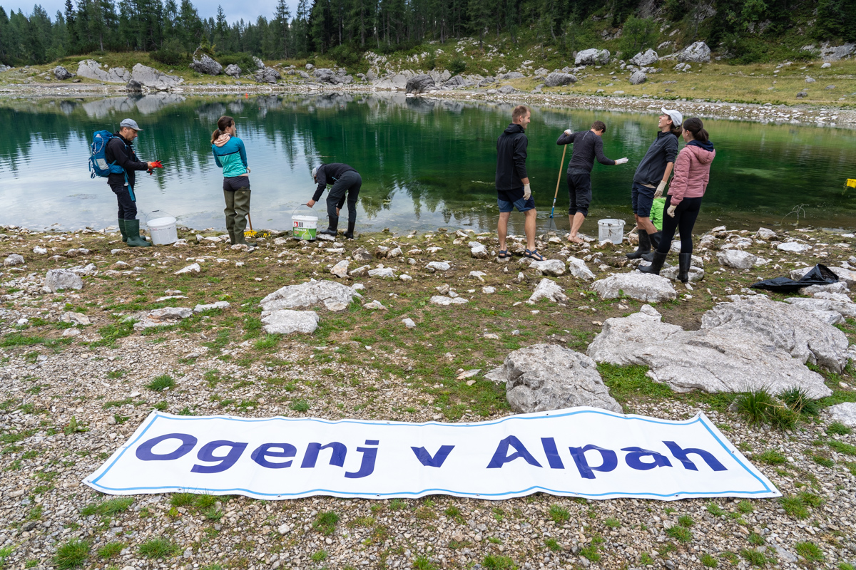 Delovno akcijo odstranjevanja alg smo izvedli na pobudo JZTNP v okviru projekta VrH Julijcev, foto: Samo Kham