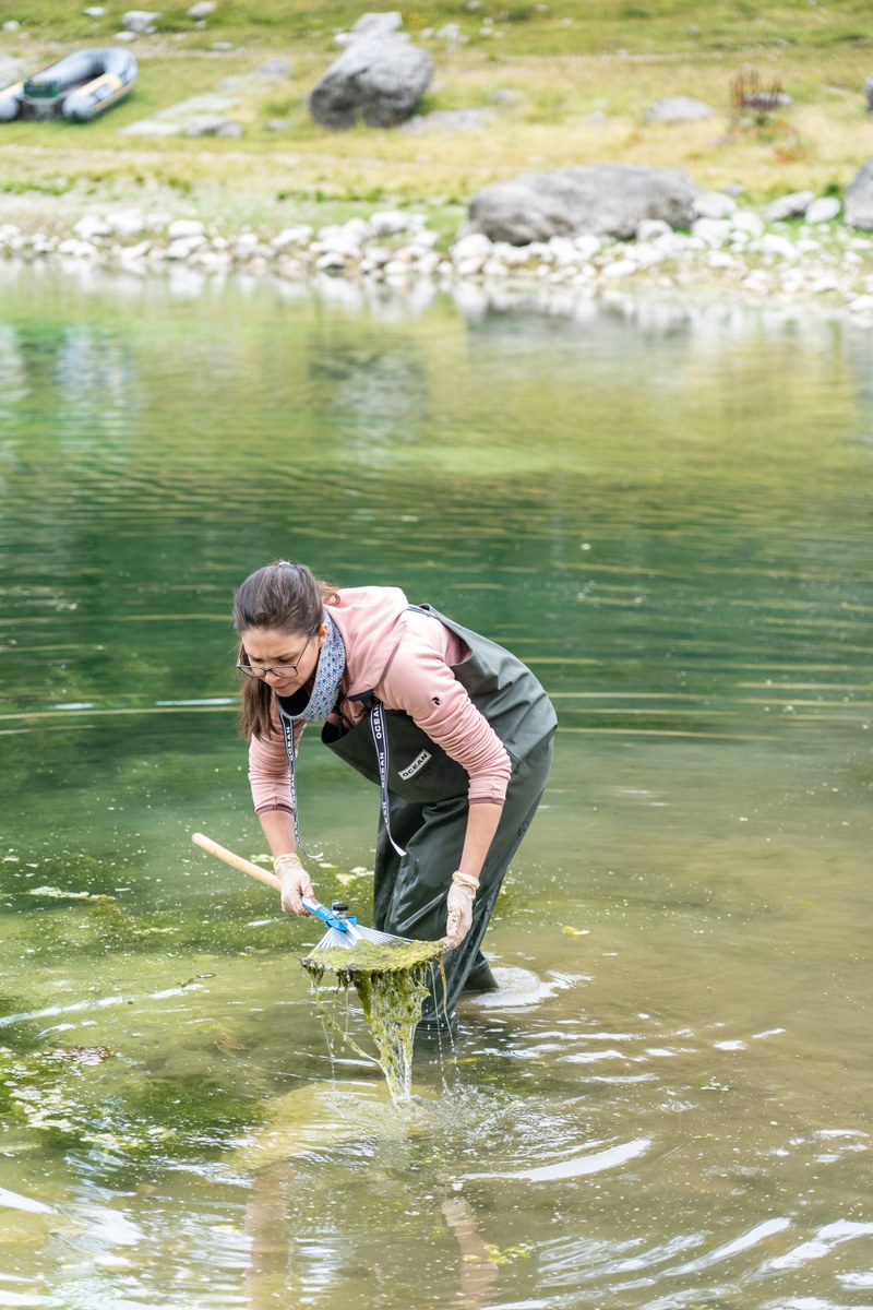 Odstranjevanje alg, foto: Samo Kham