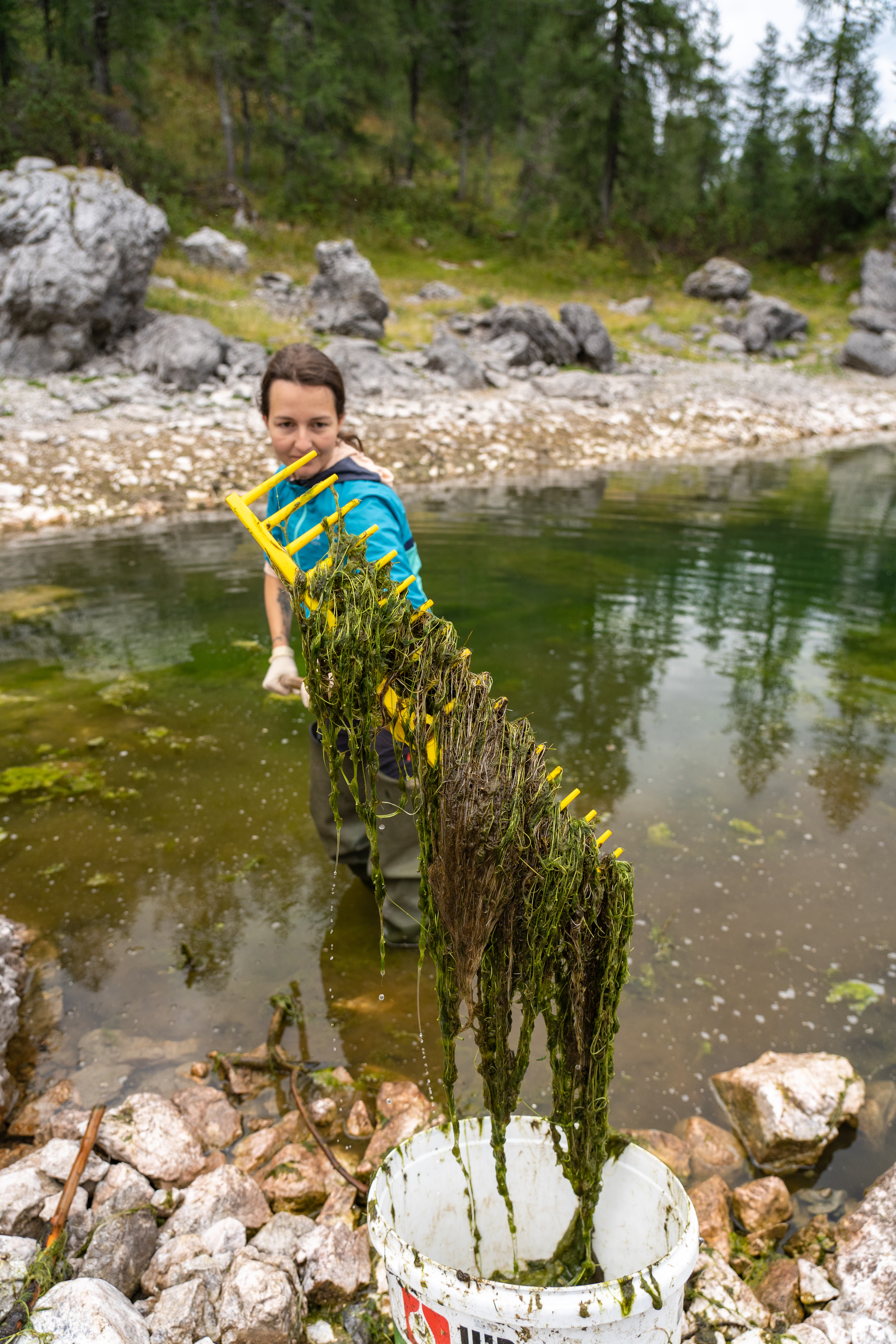 Odstranjevanje alg, foto: Samo Kham