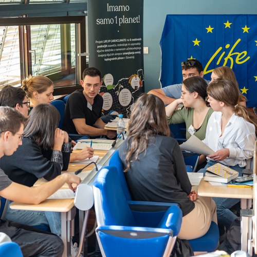 Delo v skupinah, foto: Samo Kham.