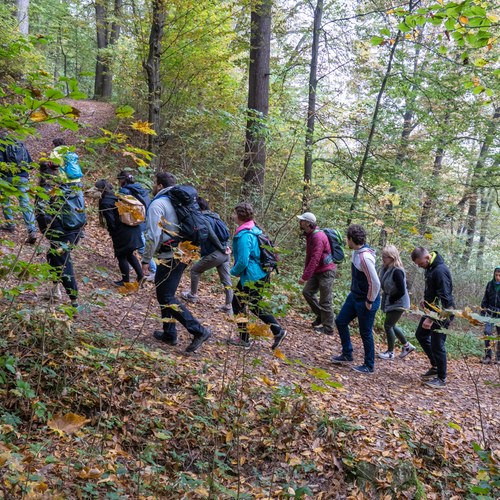 Mestni gozd celje, foto: Samo Kham.