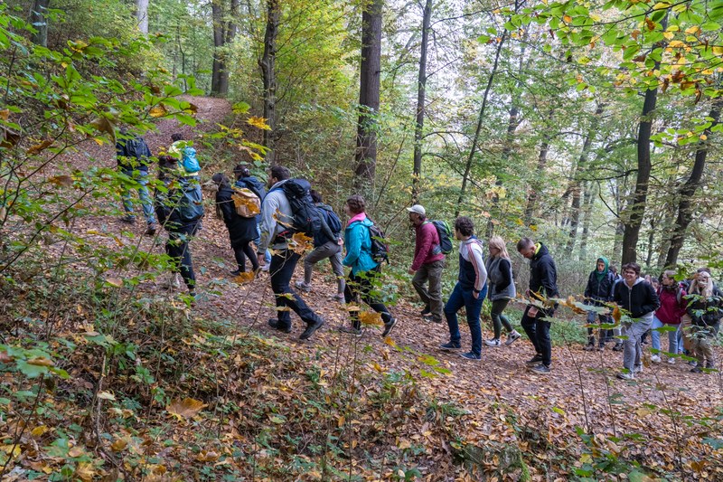 Mestni gozd celje, foto: Samo Kham.