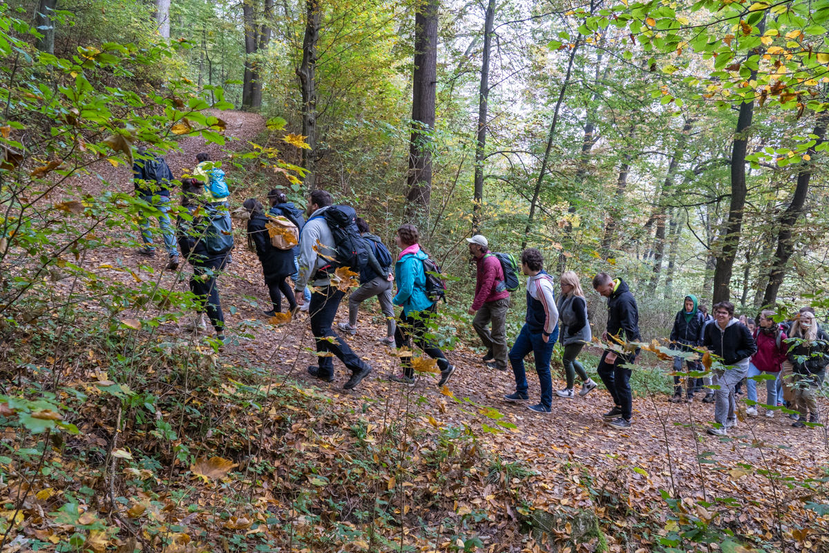 Mestni gozd celje, foto: Samo Kham.