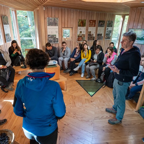 Drevesna hiška v Mestnem gozdu Celje, foto: Samo Kham.