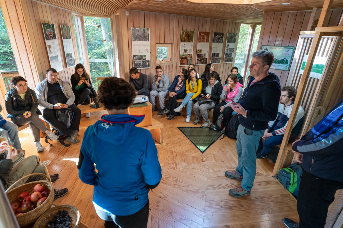 Drevesna hiška v Mestnem gozdu Celje, foto: Samo Kham.