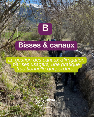 ABécéDaire3.png