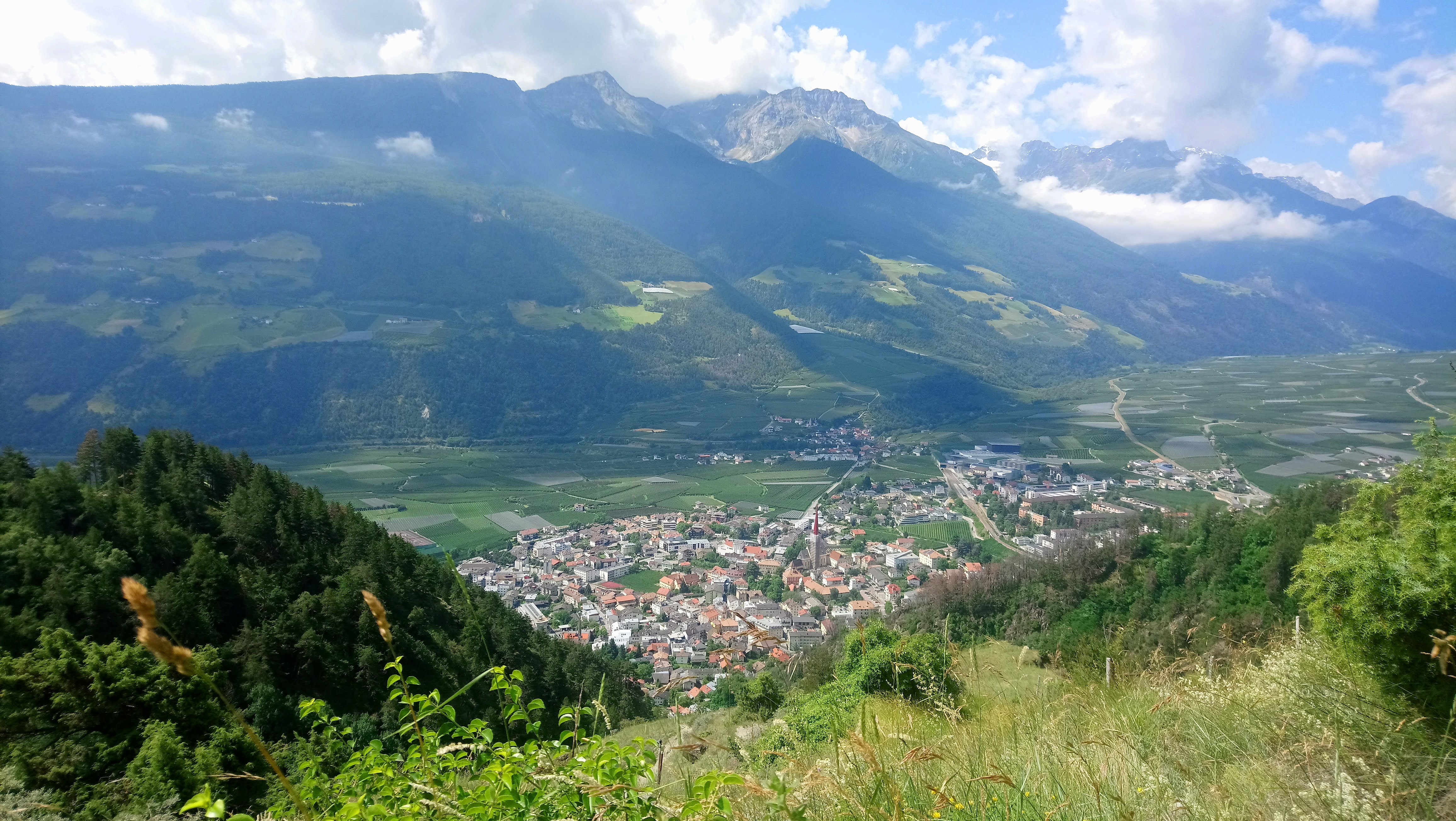 ACB23 (c) CIPRA International (171)