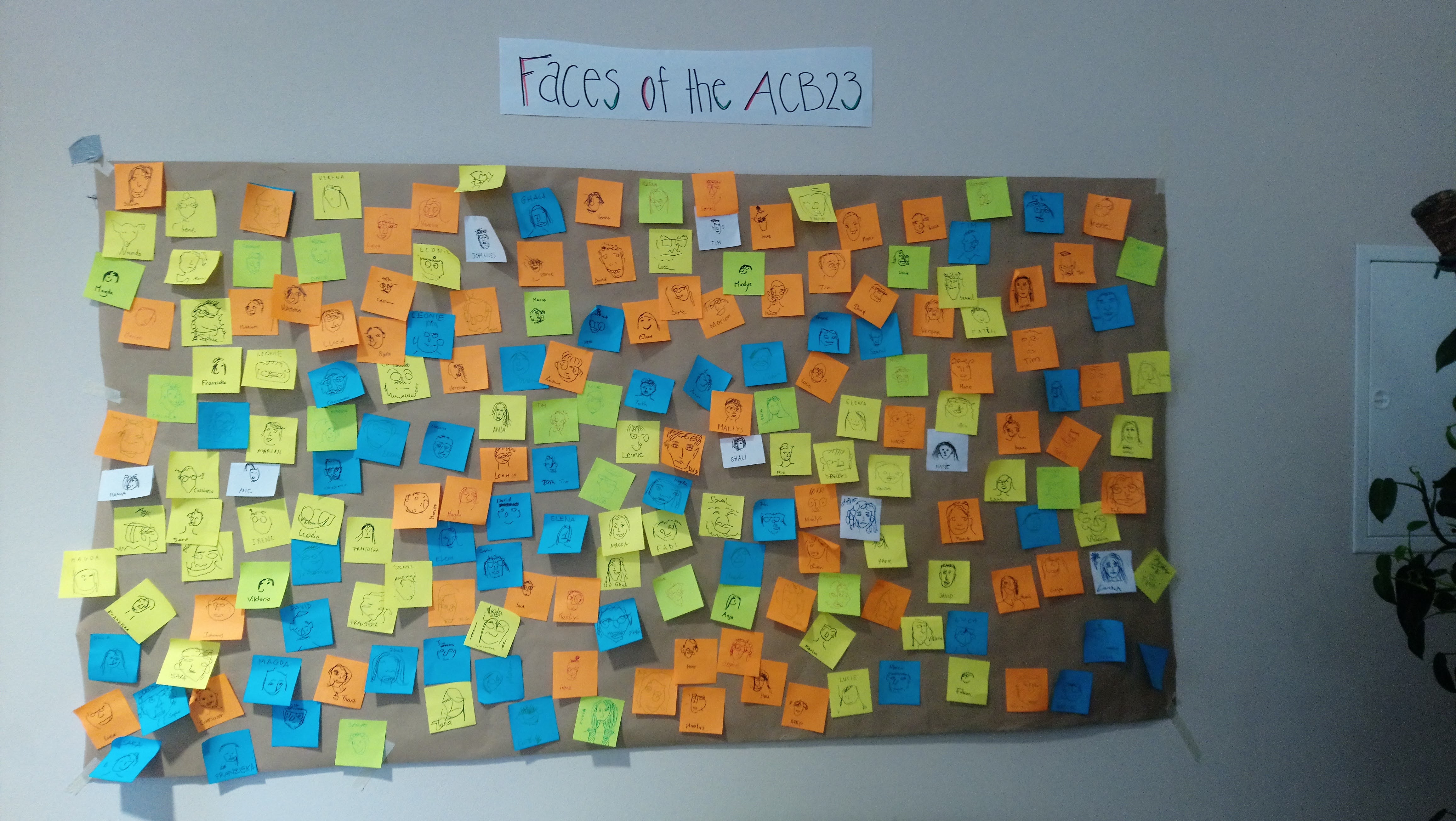 ACB23 (c) CIPRA International (178)